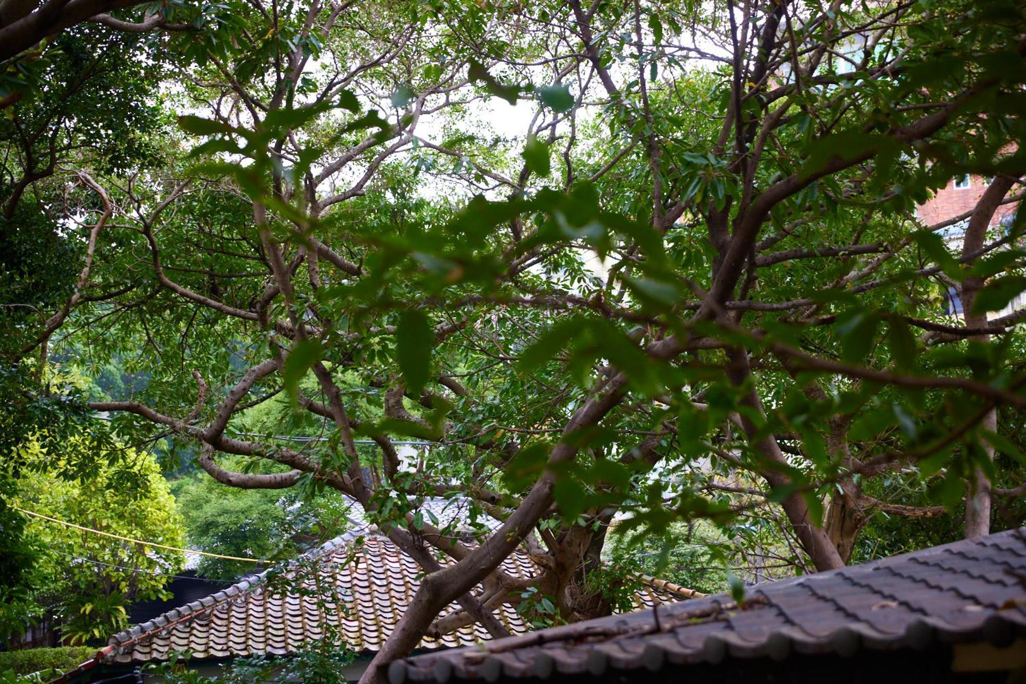 Kyokusui Hotspring Hotel Tajpej Kültér fotó